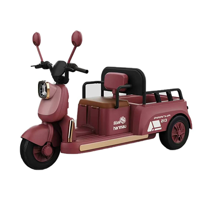 Kids Electric Tricycle with Multiple Configurations Available